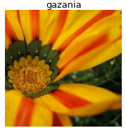 Example of cropped image