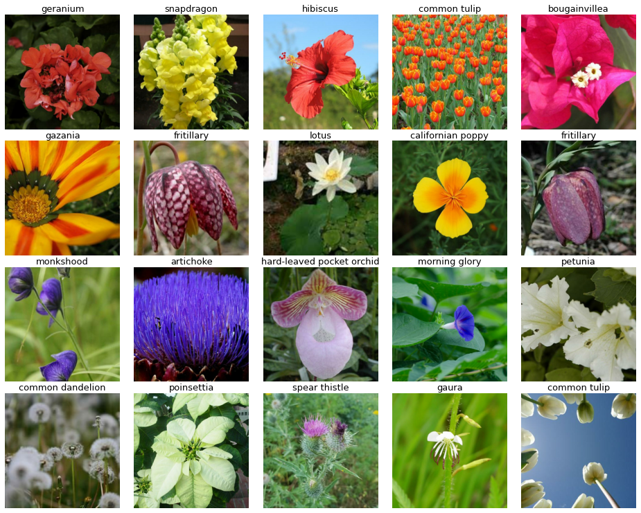 Example of training images visualization